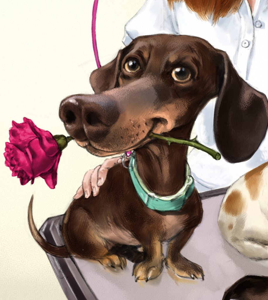 Dackel karikatur dachshound caricature bernd ertl